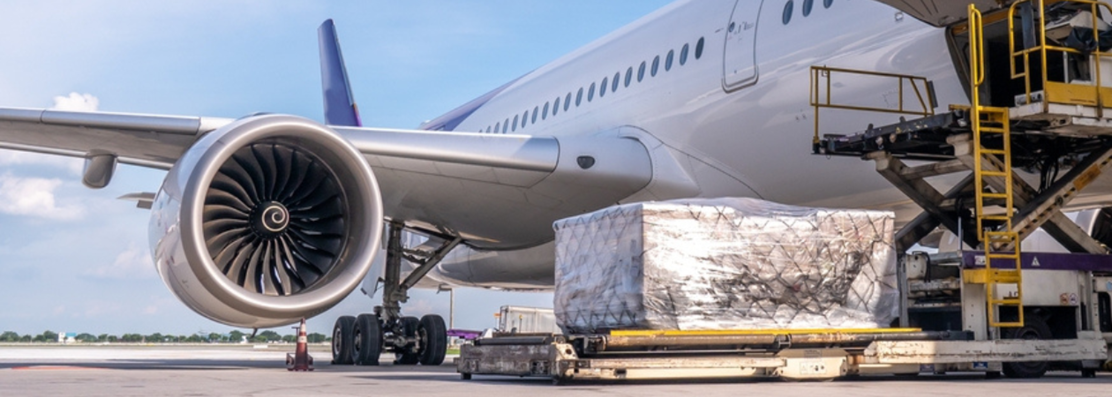 Air freight fuels surge in greenhouse gas emissions