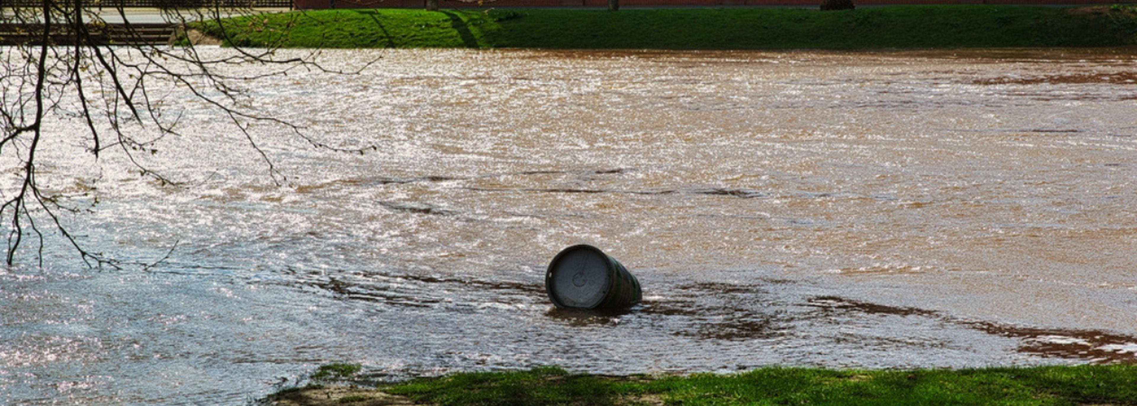 English bathing water quality is an “international embarrassment”