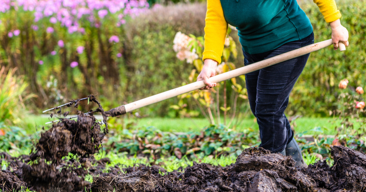 Working farmer in the garden. Organic fertilizer for manuring soil, preparing field for planting in spring, bio farming or autumn gardening concept