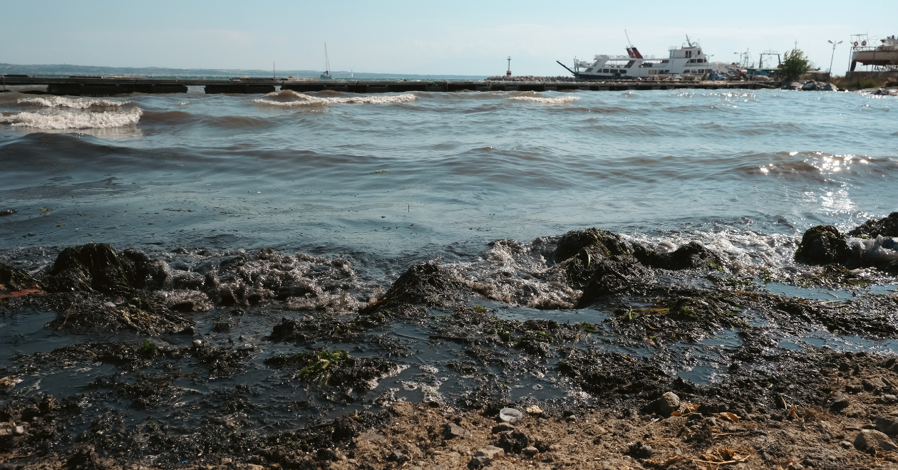 Oil spill washing up on sea